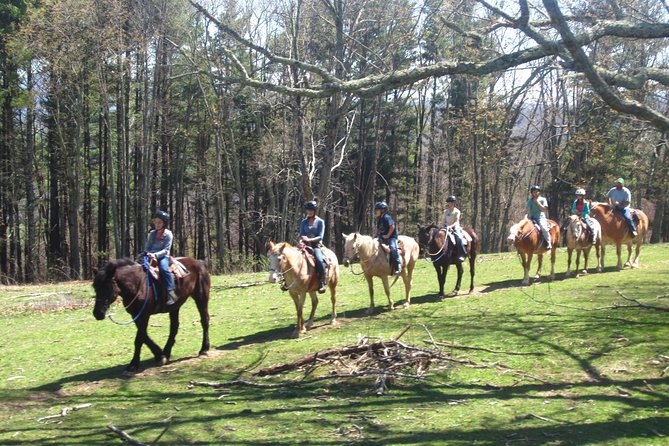 Guided Horseback Ride through Flame Azalea and Fern Forest - Guides who add more than basic instructions