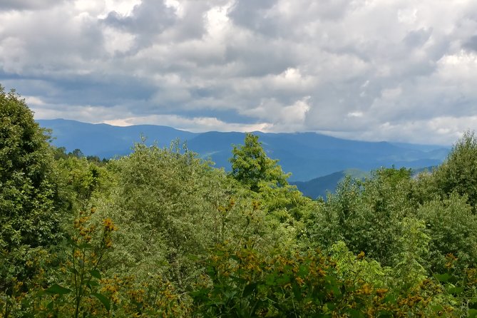 Guided Horseback Ride through Flame Azalea and Fern Forest - Weather, mud, and mountain conditions