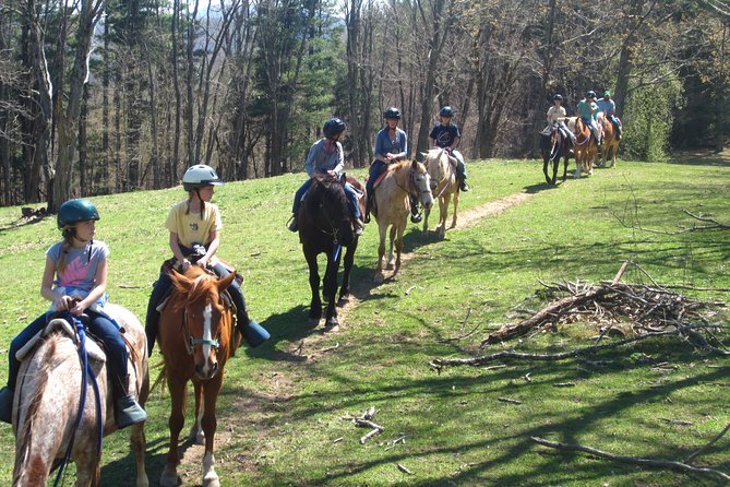 Guided Horseback Ride through Flame Azalea and Fern Forest - Who should book this Arrowmont ride?