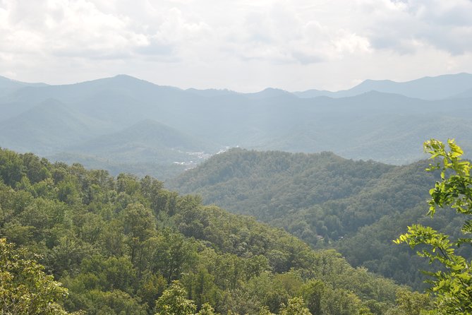 Guided Horseback Ride through Flame Azalea and Fern Forest - FAQ