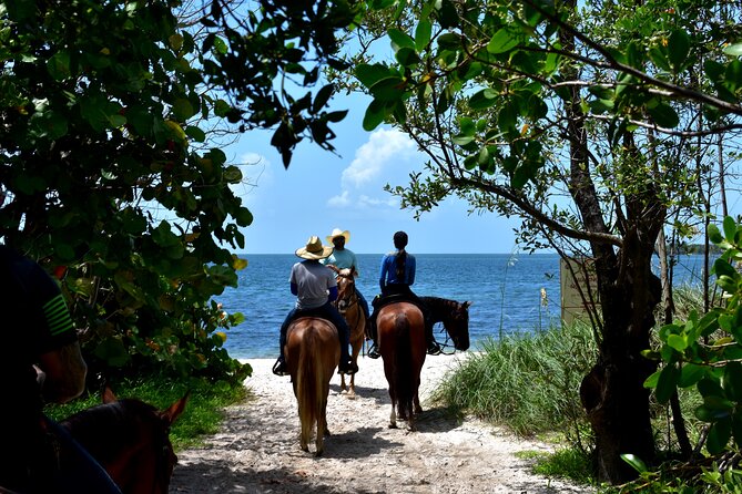 Guided Horseback Riding on The Pristine Waters of Miami Florida - From Virginia Key trails to the beach