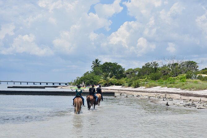 Guided Horseback Riding on The Pristine Waters of Miami Florida - The beach portion is the real payoff