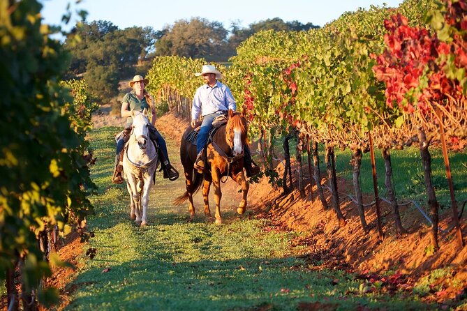 Guided Horseback Tour only 30 mins from Sedona. - Crossing the Verde River Near Oak Creek