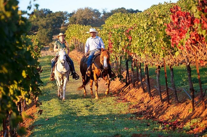 Guided Horseback Tour only 30 mins from Sedona. - Who Will Enjoy This Ride Most?
