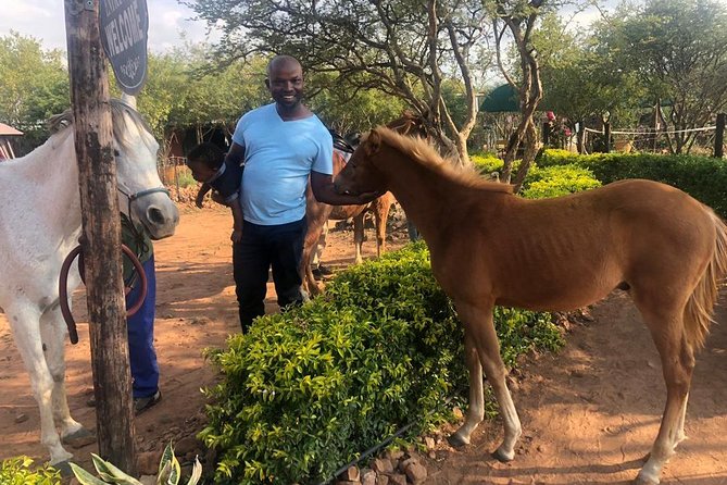 Guided Pony Riding in the Tranquil Surroundings of the Notwane Dam - A gentle ride beside Notwane Dam