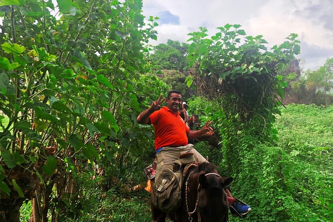 Guided Tour with Horseback Riding and Bioluminescence in Puerto Escondido - La Escobilla and the first turtle release