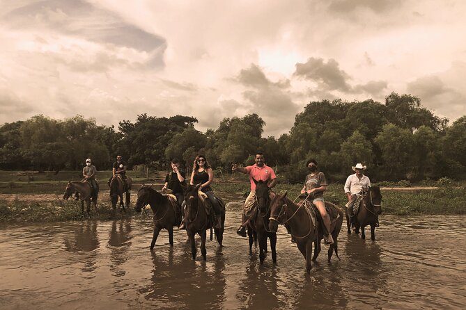 Guided Tour with Horseback Riding and Bioluminescence in Puerto Escondido - Is $200 a fair price?