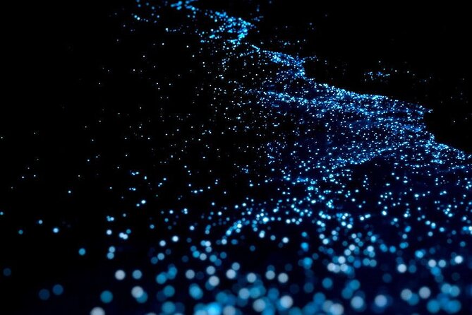 Guided Tour with Horseback Riding and Bioluminescence in Puerto Escondido - A short stop at Playa Zicatela