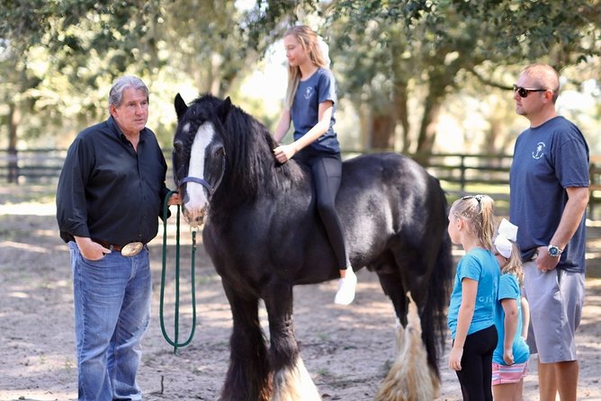 Gypsy Gold Horse Farm Tour - The final stallion photo