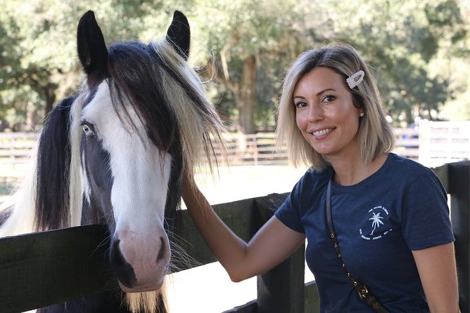 Gypsy Gold Horse Farm Tour - Practical details that shape your morning