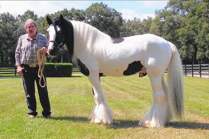 Gypsy Gold Horse Farm Tour - The first 45 minutes with Dennis and Erin