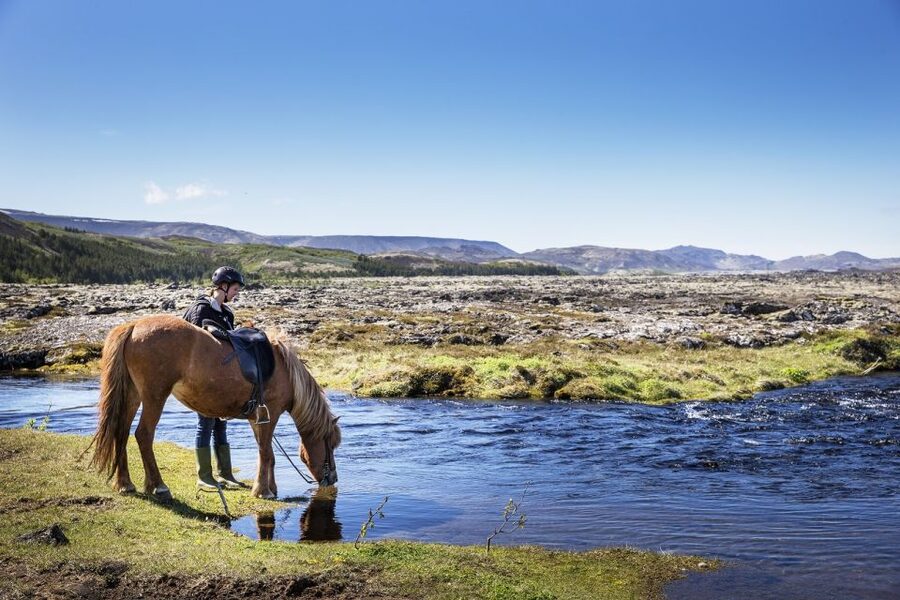 Hafnarfjörður: Horseback Riding Tour in Reykjavik Area - Riding Icelandic horses near Hafnarfjörður