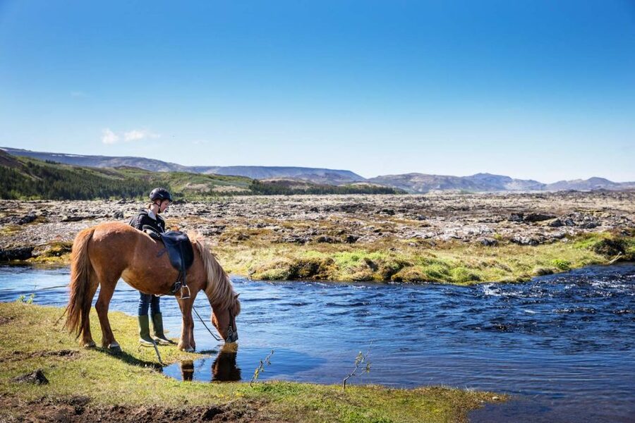 Hafnarfjörður: Horseback Riding Tour in Reykjavik Area - What the 50-minute route is really like