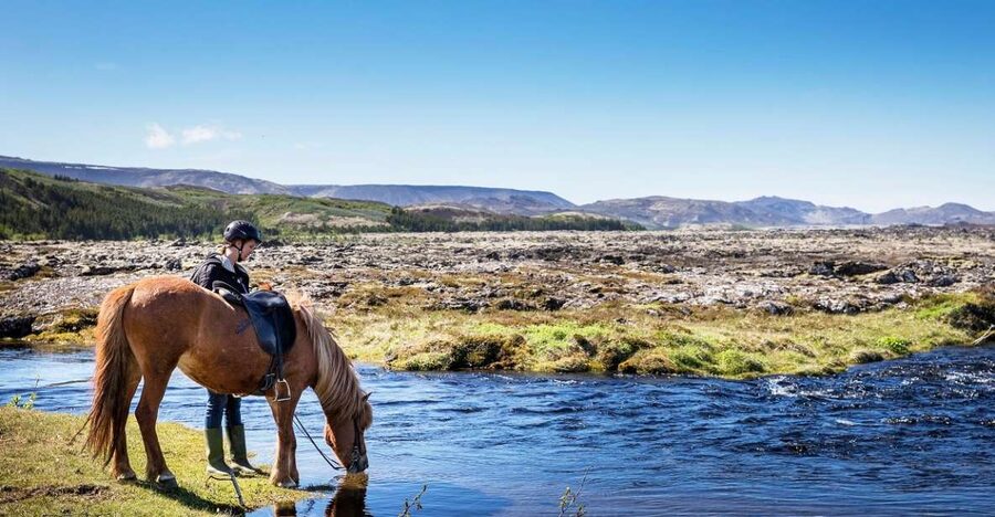 Hafnarfjörður: Horseback Riding Tour in Reykjavik Area - Warm clothing matters in Iceland