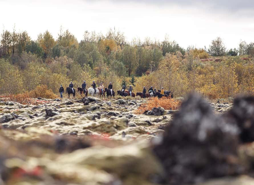 Hafnarfjörður: Horseback Riding Tour in Reykjavik Area - A small group makes a difference