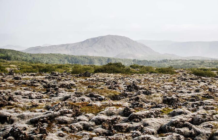 Hafnarfjörður: Horseback Riding Tour in Reykjavik Area - Is $132 a fair price?