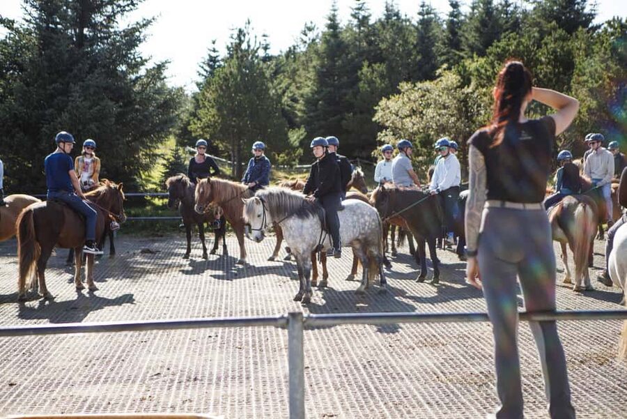 Hafnarfjörður: Horseback Riding Tour in Reykjavik Area - Who should book this ride?