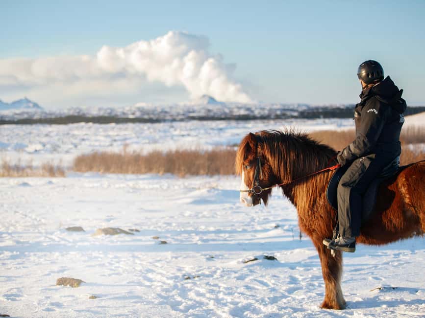 Hafnarfjörður: Horseback Riding Tour in Reykjavik Area - Booking tips for a smoother morning