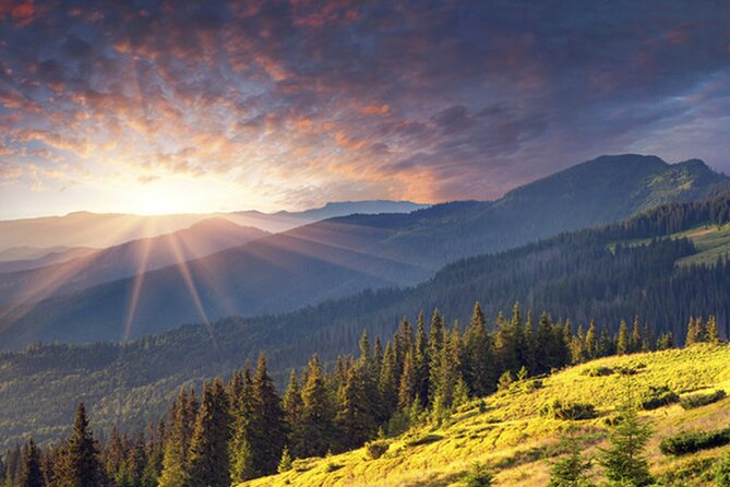 Half day adventure - Nevsky, Vitosha Hoof, Boyana and Horse Ride - Why this Sofia day trip works