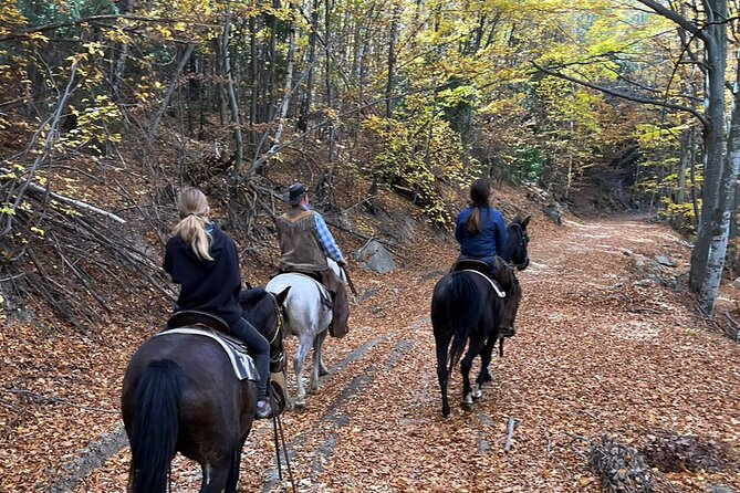 Half day adventure - Nevsky, Vitosha Hoof, Boyana and Horse Ride - Lunch at Limoncheto, with the bill separate