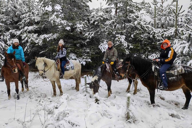 Half day adventure - Nevsky, Vitosha Hoof, Boyana and Horse Ride - Riding horses at Rancho Mechata Stŭpka