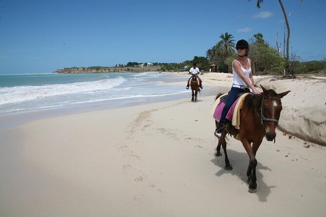 Half-Day Beach Horse Back Riding in Puerto Plata - From Puerto Plata’s roads to the jungle trail