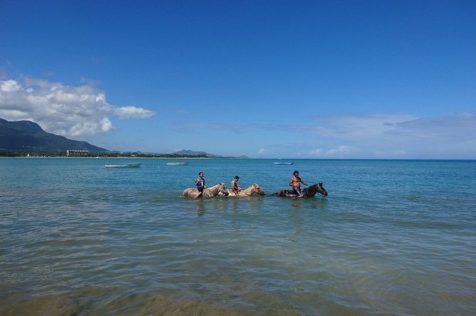 Half-Day Beach Horse Back Riding in Puerto Plata - A photo stop with the sea behind you
