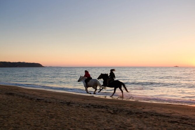 Half-Day Beach Horse Back Riding in Puerto Plata - The 30 to 40 minute break at Bergantin Beach