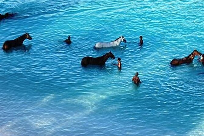 Half-Day Beach Horse Back Riding in Puerto Plata - The possible horse swim, with a firm safety limit
