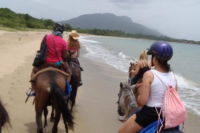 Half-Day Beach Horse Back Riding in Puerto Plata - What the $69 price includes