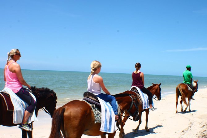 Half Day Beach Horseback Riding in Ocho Rios + Lunch - What the 90-minute Hooves ride includes