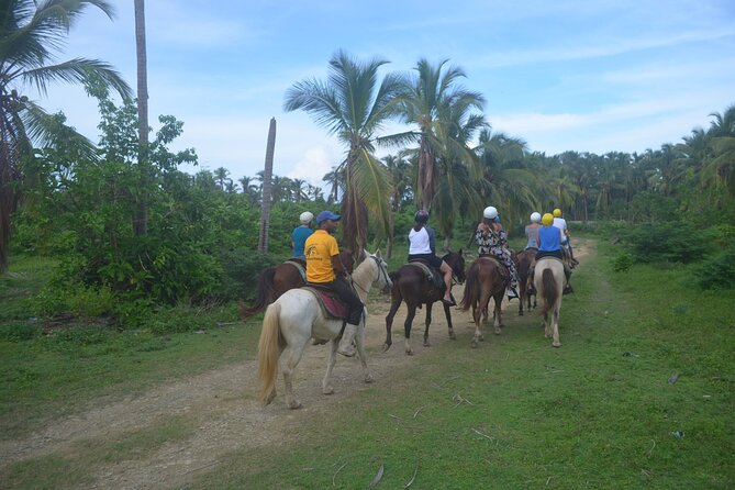 Half Day Buggies and Horseback Experience in Punta Cana - Who Will Enjoy This Half-Day Outing?