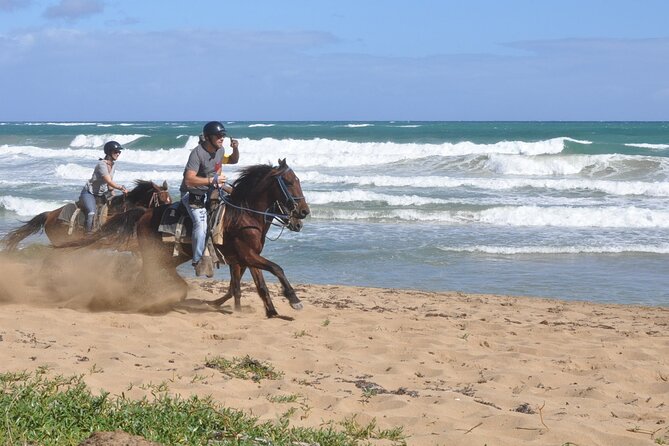 Half Day Buggies and Horseback Experience in Punta Cana - Macao Beach and the Limits of the Horseback Promise