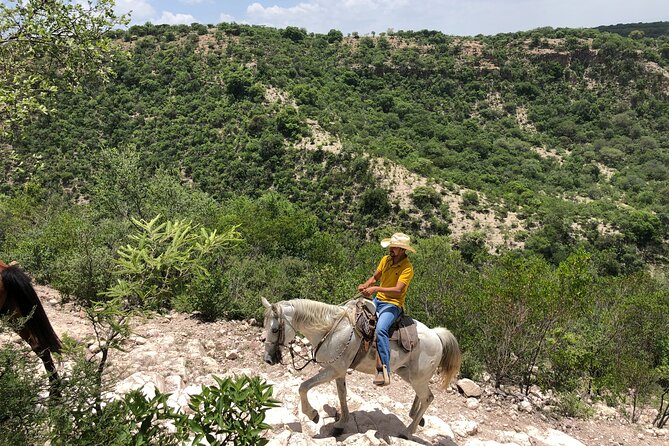 Half Day Excursion - Horseback Riding Adventure in SMA - Guides Who Adjust to the Group