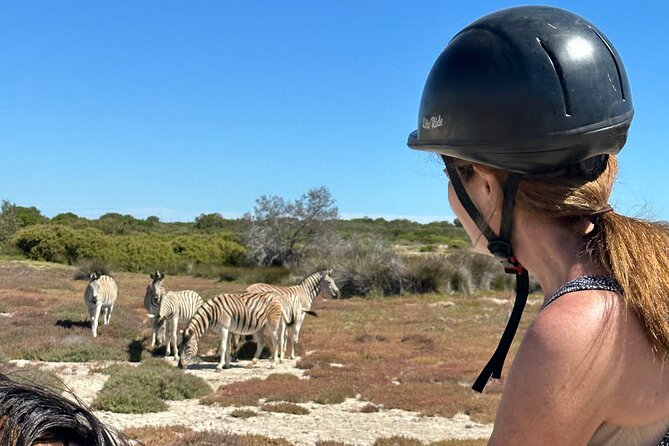 Half day Horse back safari - A farm lunch instead of a quick snack