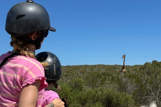Half day Horse back safari - What the four-hour timing means