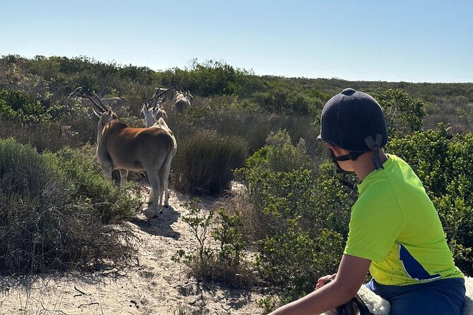 Half day Horse back safari - Atlantic views and West Coast plant life