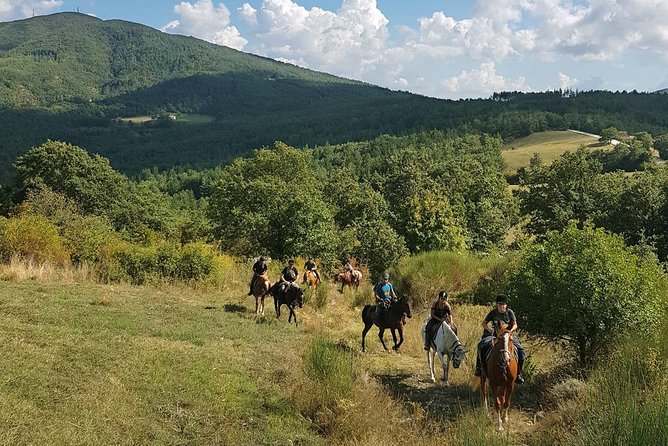 Half-Day Horseback Ride in Tuscany - What the scenery looks like from horseback