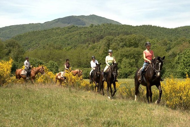 Half-Day Horseback Ride in Tuscany - Timing, group size, and the pace of the day