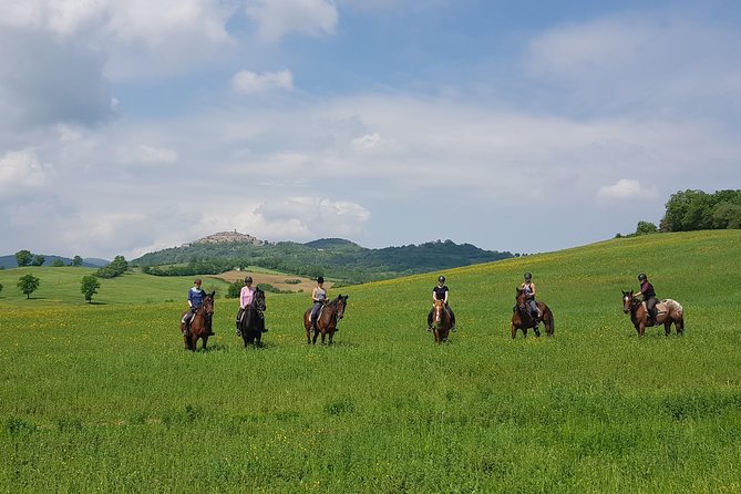 Half-Day Horseback Ride in Tuscany for beginner riders - A Gentle Ride Through the Tuscan Hills