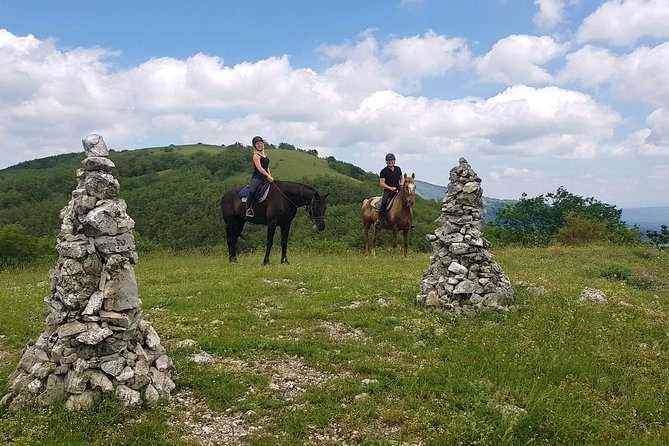 Half-Day Horseback Ride in Tuscany for beginner riders - The Stable Setting and Group Size
