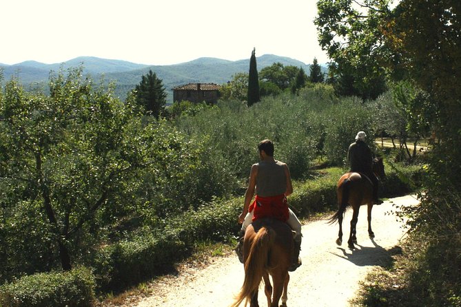 Half-Day Horseback Ride in Tuscany for beginner riders - Is $120.16 a Fair Price?