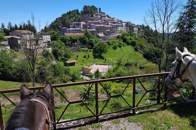 Half-Day Horseback Ride in Tuscany for beginner riders - Timing, Weather, and Practical Limits