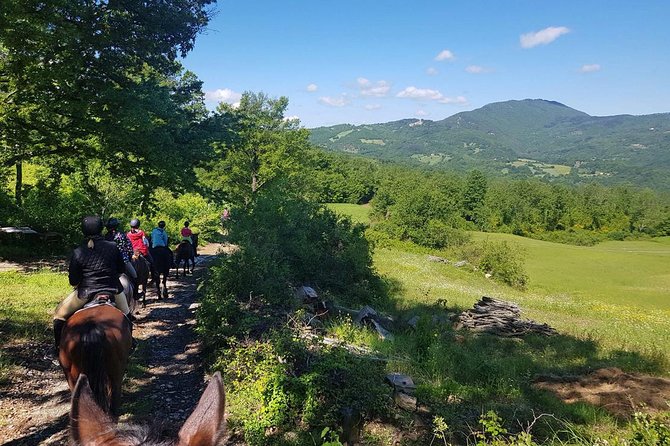 Half-Day Horseback Ride in Tuscany for beginner riders - Who Should Book This Horseback Ride?