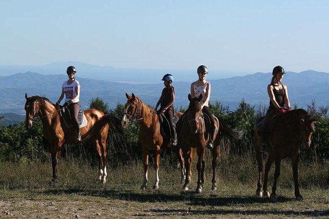 Half-Day Horseback Ride in Tuscany for beginner riders - What the Two-Hour Route Includes