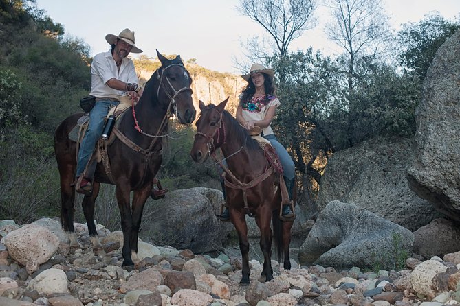 Half-Day Horseback Riding Adventure - Open plains, cattle, and a long descent