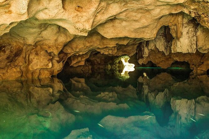 Half Day Horseback Riding Adventure with Cenotes in the Jungle - Transport takes more time than the brochure-style summary suggests