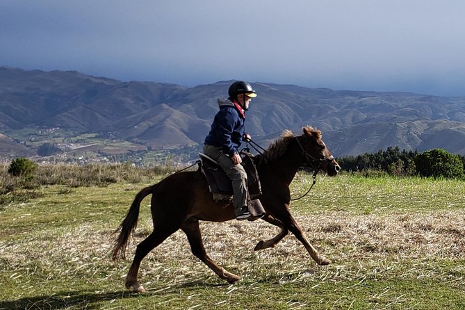 Half day Horseback Riding tour around Sacsayhuaman park - Why this is more than a standard horse ride