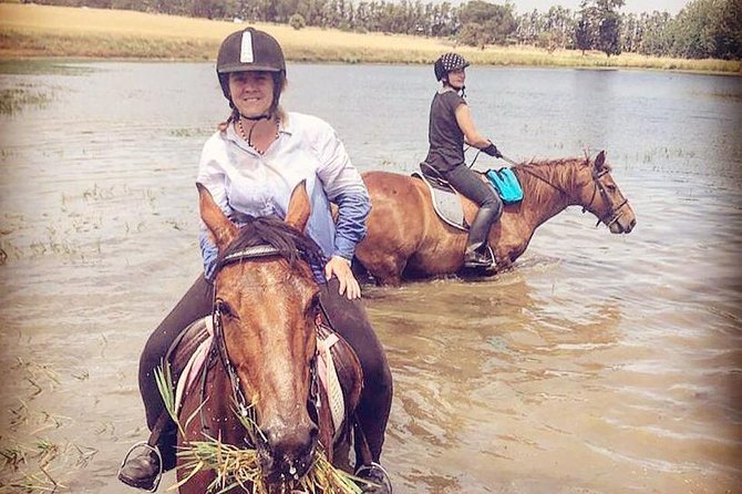 Half Day Horseback Wine Tour - Riding out from Vredenheim at 10:00 a.m.
