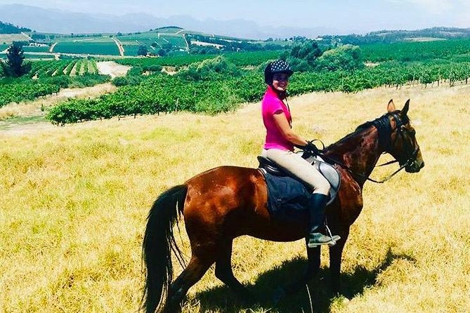 Half Day Horseback Wine Tour - Is $223 good value?